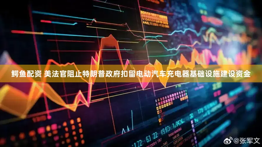 鳄鱼配资 美法官阻止特朗普政府扣留电动汽车充电器基础设施建设资金